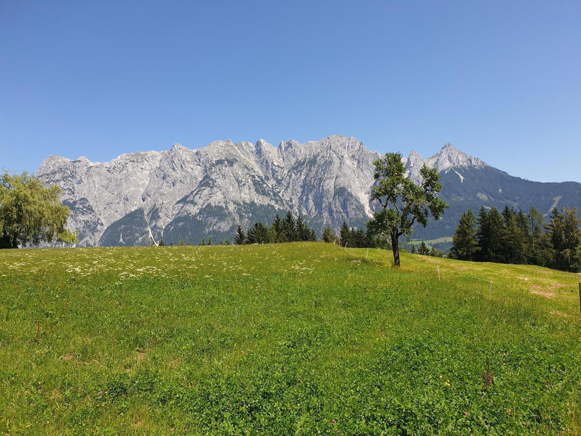 Mountain Residence Riesgut Werfen Exterior foto
