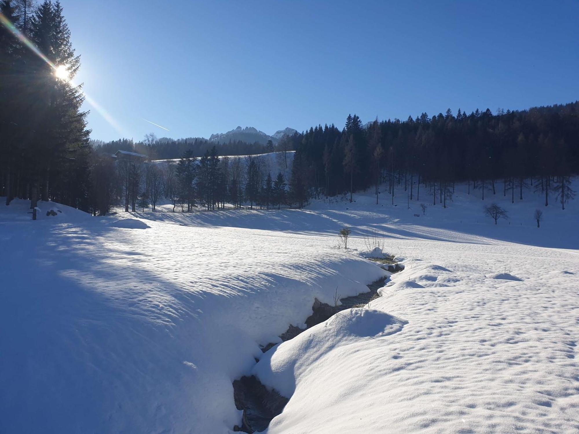 Mountain Residence Riesgut Werfen Exterior foto