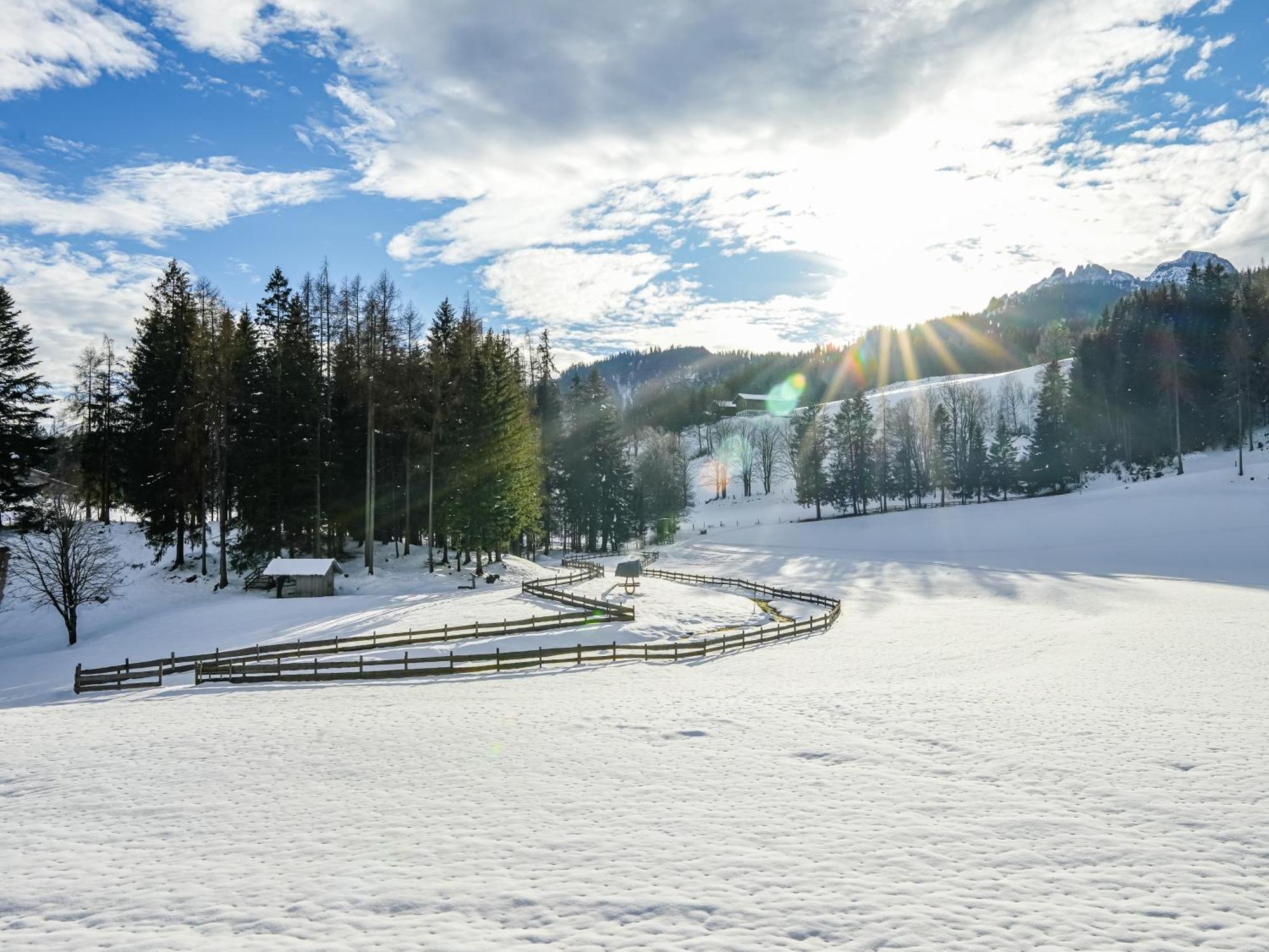 Mountain Residence Riesgut Werfen Exterior foto
