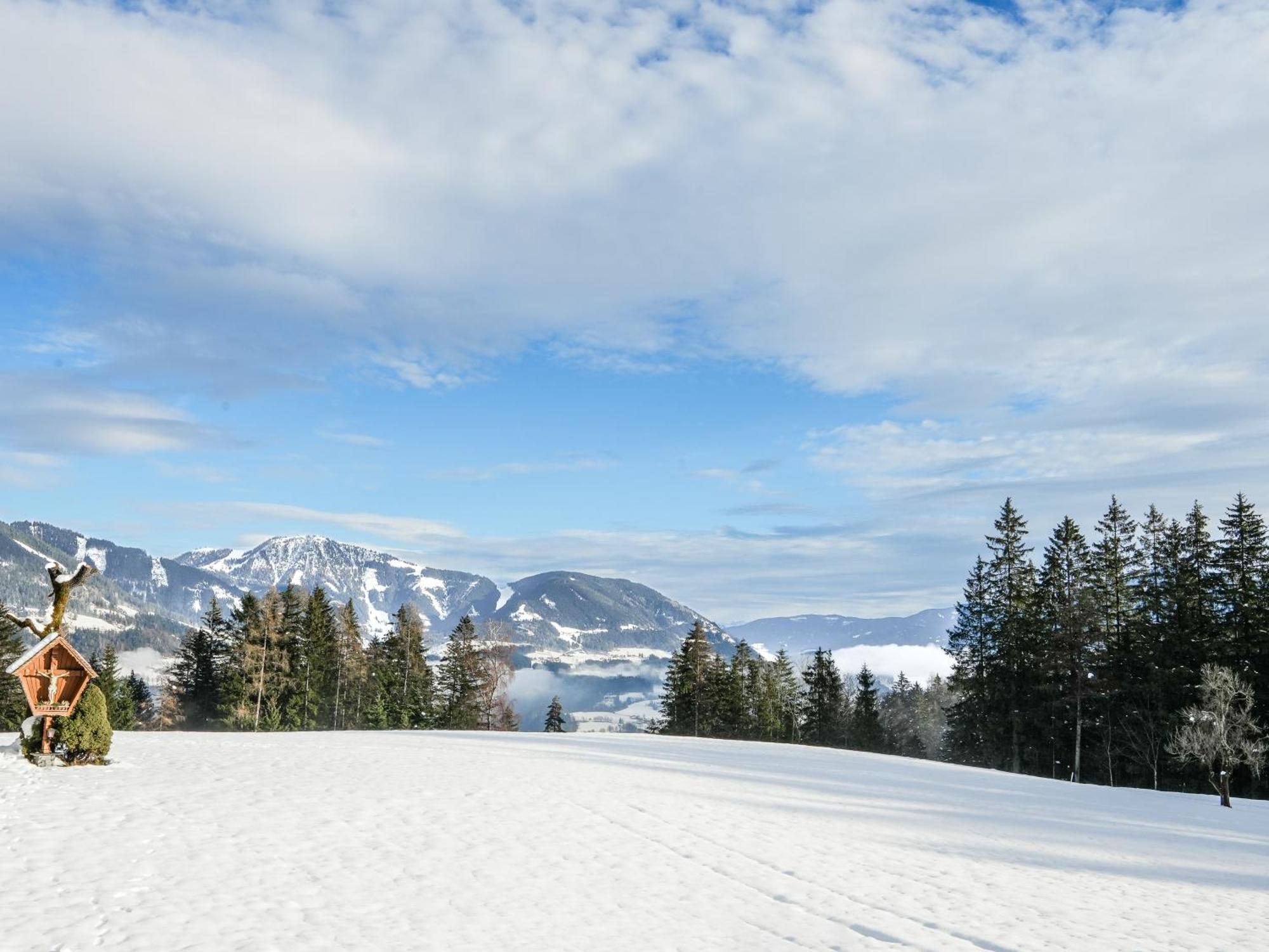 Mountain Residence Riesgut Werfen Exterior foto