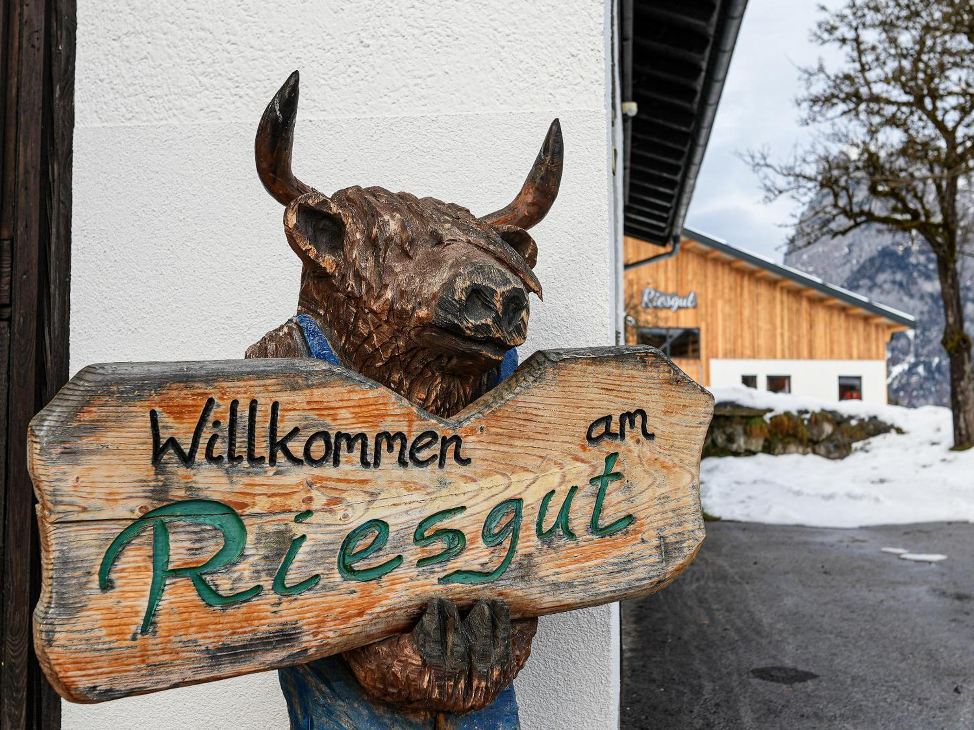 Mountain Residence Riesgut Werfen Exterior foto